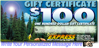 $100.00 Gift Certificate