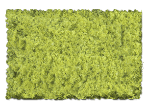LIGHT GREEN COARSE - 32 oz.