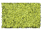 LIGHT GREEN COARSE - 64 oz.