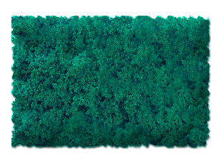 SPRUCE GREEN COARSE - 32 oz.