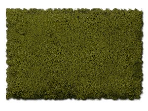 BURNT GREEN FINE - 64 oz.