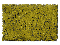 NEW! MOSS GREEN SUPERTURF