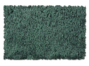 SAGE GREEN FINE - 64 oz.