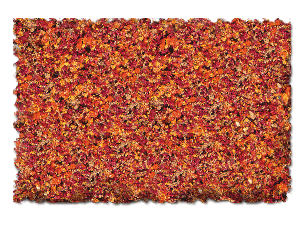 AUTUMN GLORY BLEND - 32 oz.