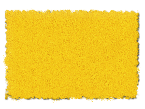 ASPEN YELLOW FINE - 32 oz.