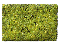 SCRUB GRASS BLEND - 64 oz.