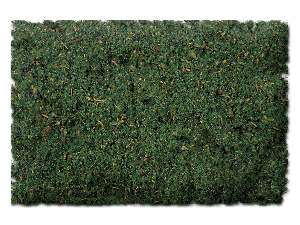 FOREST FLOOR BLEND - 32 oz.