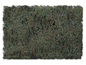 SWAMPY BOG BLEND - 32 oz.