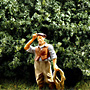 MEDIUM GREEN BRIAR PATCH