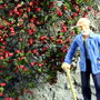 RED CREEPING ROSE
