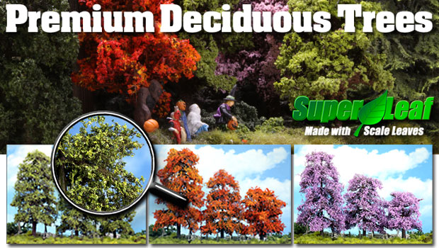 Premium Ready Made Deciduous Trees 