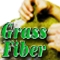 Grass
