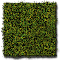 MOORLAND GREEN WILD GRASS FIBER