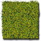 PASTURE GREEN WILD GRASS FIBER