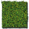 DARK GREEN WILD GRASS FIBER