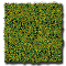 ALPINE GREEN WILD GRASS FIBER