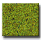 LIGHT GREEN DECOGRASS�