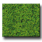 MEDIUM GREEN DECOGRASS�