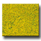 GOLDEN GRASS TONE DECOGRASS�