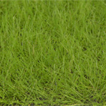 Light Grass Tone 6.5mm Static Grass