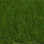 Dark Green Tone 6.5mm Static Grass
