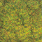 2MM LATE SUMMER GRASS FOLLICLE 20g/.7 oz.