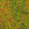 2MM FLOWERING MEADOW GRASS BLEND 20g/.7lz.
