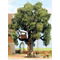 HO-Scale TREE HOUSE