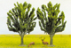 5+ ELM TREE SET