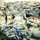 SANDSTONE CLIFF