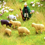 HO SHEPARD WITH SHEEP LANDSCAPE THEME KIT