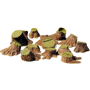 MULTI-SCALE SMALL TREE STUMPS/12