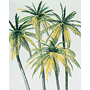 PALM TREE KIT - SET OF 4