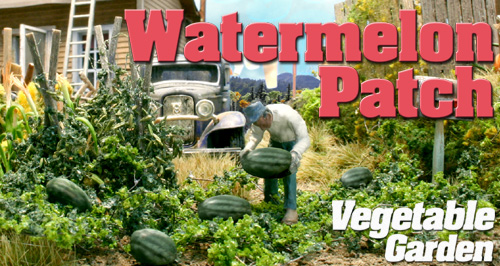 Watermelon Patch