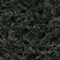 CONIFER GREEN FOLIAGE