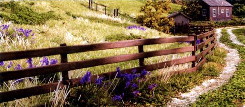 O Scale Fence Woodland Scenics A3005 Privacy Fence - O Scale (1:48) Model Railroad Scenery & Diorama Detail O Scale Scenery - Foto 13