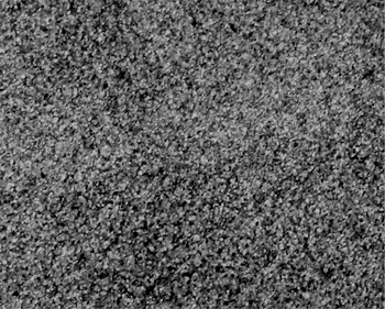 #50 BLENDED BALLAST - QUART