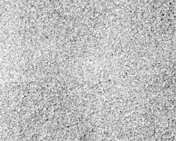#50 LIGHT GRAY BALLST - 10KG (22 LBS.)