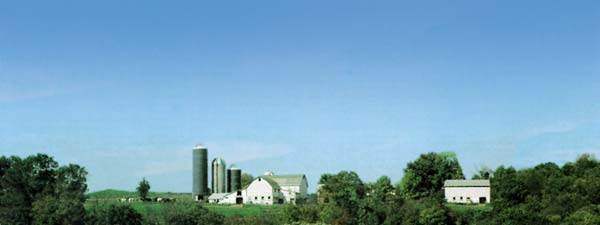 FARM SCENE