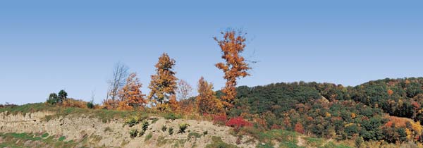 FALL MOUNTAIN SCENE-LEFT