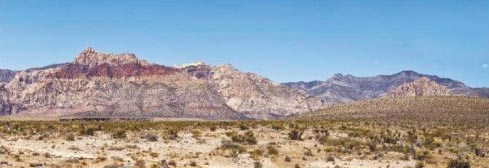 DESERT SCENE #1
