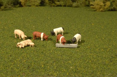 O-SCALE PIGS/ 8 Pcs.