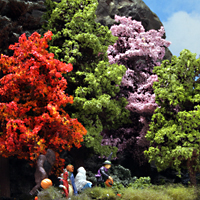Premier Deciduous