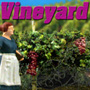 GRAPE VINEYARD (O-Scale)