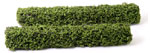 GREEN BOXWOOD HEDGES/2 PKG.