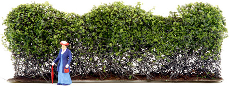 LARGE GREEN HEDGE ROW/1 PC.