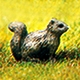 3-PIECE SQUIRREL SET