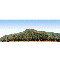 MOUNTAIN SCENE #1