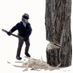 O-SCALE 'FELLER'  #1 CUTTING DOWN A TREE