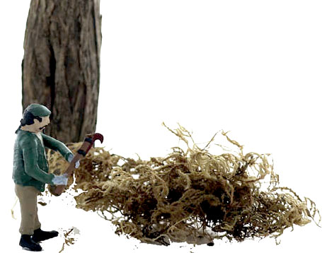 O-SCALE SWAMPER WITH BRUSH CUTTER